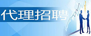  代理招聘服務(wù)